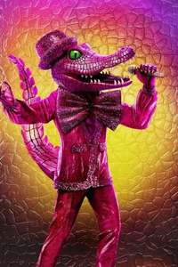 The Masked Singer - Posters