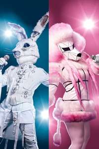 The Masked Singer - Posters