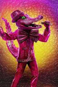 The Masked Singer - Posters