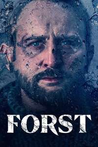 Detective Forst - Posters