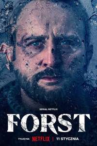 Detective Forst - Posters