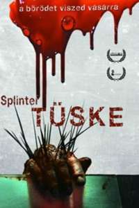 Splinter - Posters