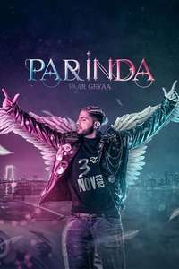 Parinda Paar Geyaa - Poster