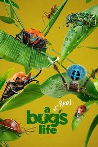 A Real Bug's Life - Posters