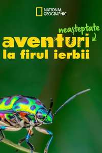 A Real Bug's Life - Posters