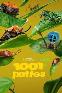 A Real Bug's Life - Posters