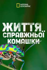 A Real Bug's Life - Posters