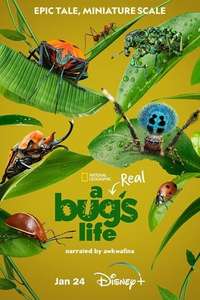 A Real Bug's Life - Posters