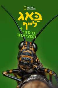 A Real Bug's Life - Posters