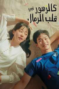 Like Flowers in Sand - Poster