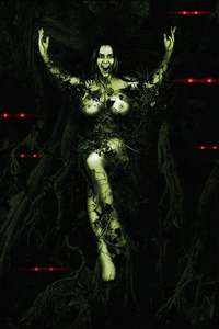 Devil's Trail - Poster