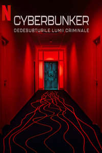 Cyberbunker: The Criminal Underworld - Posters