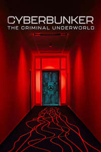 Cyberbunker: The Criminal Underworld - Posters