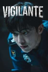 Vigilante - Posters