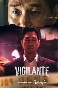 Vigilante - Posters