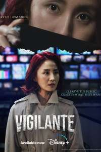 Vigilante - Posters