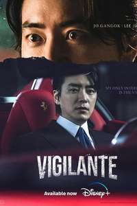Vigilante - Posters