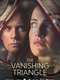 The Vanishing Triangle