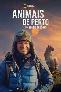 Animals Up Close with Bertie Gregory - Posters
