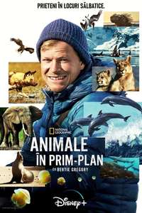 Animals Up Close with Bertie Gregory - Posters