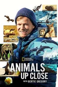 Animals Up Close with Bertie Gregory - Posters