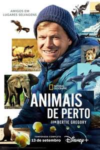 Animals Up Close with Bertie Gregory - Posters