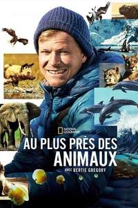 Animals Up Close with Bertie Gregory - Posters