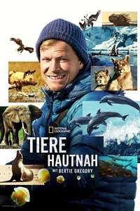 Animals Up Close with Bertie Gregory - Posters