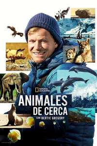 Animals Up Close with Bertie Gregory - Posters