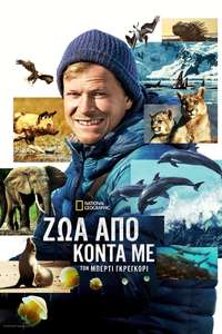 Animals Up Close with Bertie Gregory - Posters