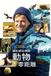 Animals Up Close with Bertie Gregory - Posters