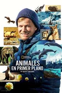 Animals Up Close with Bertie Gregory - Posters