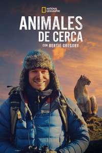 Animals Up Close with Bertie Gregory - Posters