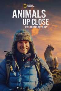 Animals Up Close with Bertie Gregory - Posters