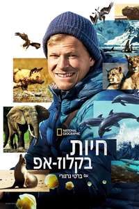 Animals Up Close with Bertie Gregory - Posters