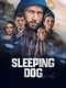 Sleeping Dog