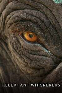 The Elephant Whisperers - Posters