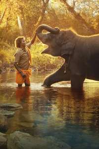 The Elephant Whisperers - Posters