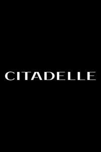 Citadel - Posters