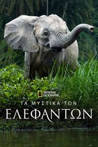 Secrets of The Elephants - Posters