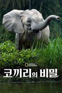 Secrets of The Elephants - Posters