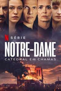 Notre-Dame - Posters