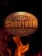 Australian Survivor : Season 4