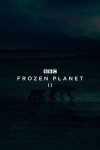 Frozen Planet II - Posters