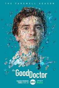The Good Doctor - Posters