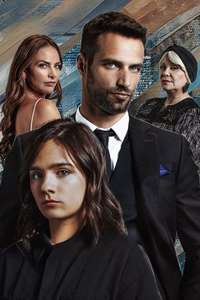 Diary of a Gigolo - Posters