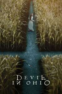 Devil in Ohio - Posters