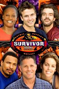 Survivor - Posters