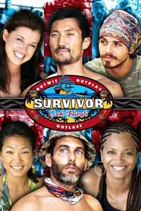 Survivor - Posters
