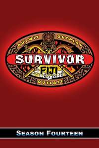 Survivor - Posters